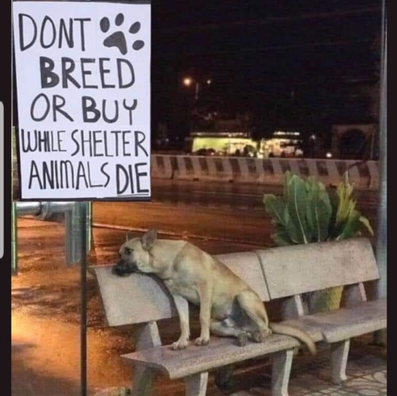 Meet your Posher, Melissa - Picture 9 of 12